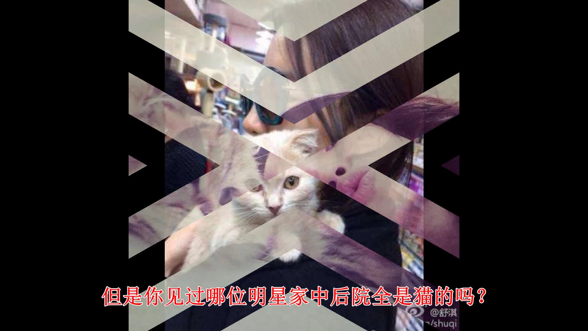 刘亦菲被曝家中后院很“乱”，但网友们纷纷表示路转粉