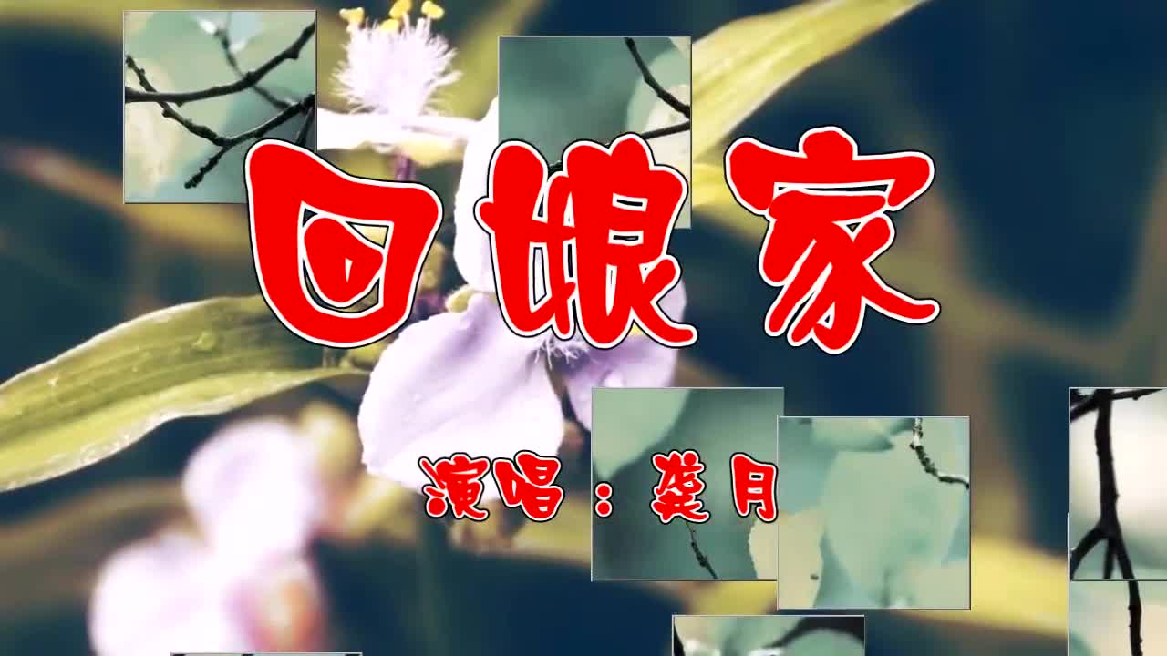 一首网络歌曲《回娘家》,百听不腻