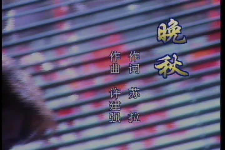 《晚秋》毛宁国内经典mv金曲
