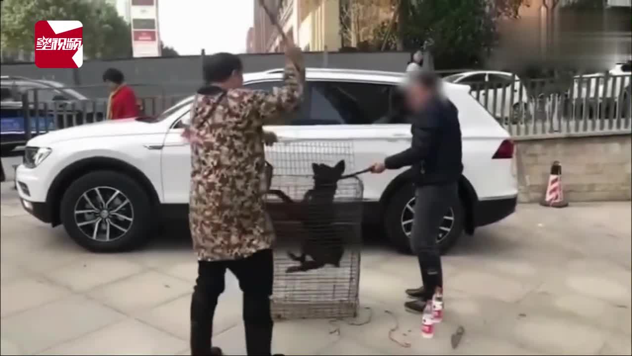 残忍至极！男子当街杀狗洒狗血祭新车，只为辟邪保平安