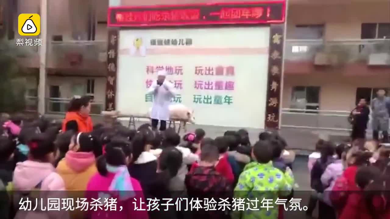 幼儿园孩子集体看杀猪，体验年味