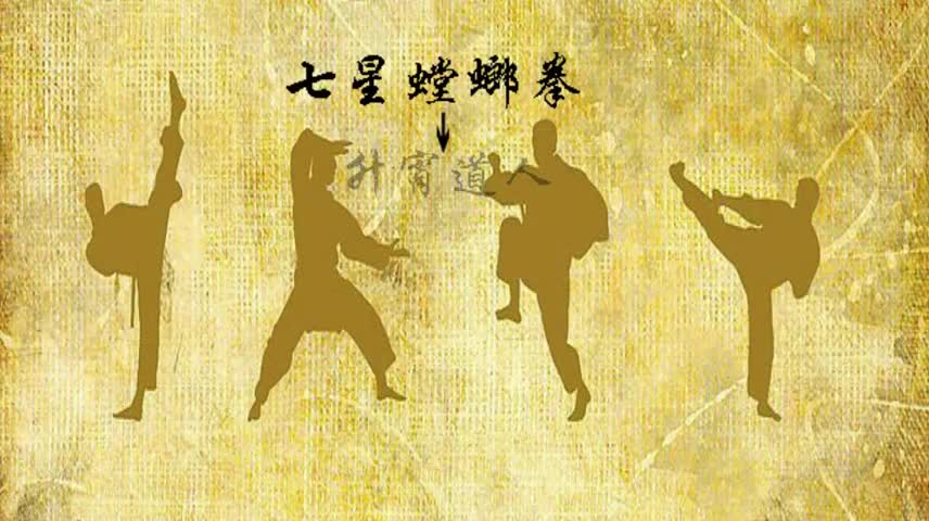 精武辽宁1七星螳螂拳