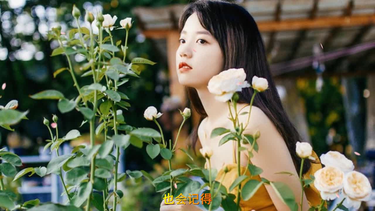 张冬玲的一首伤感情歌,百听不厌