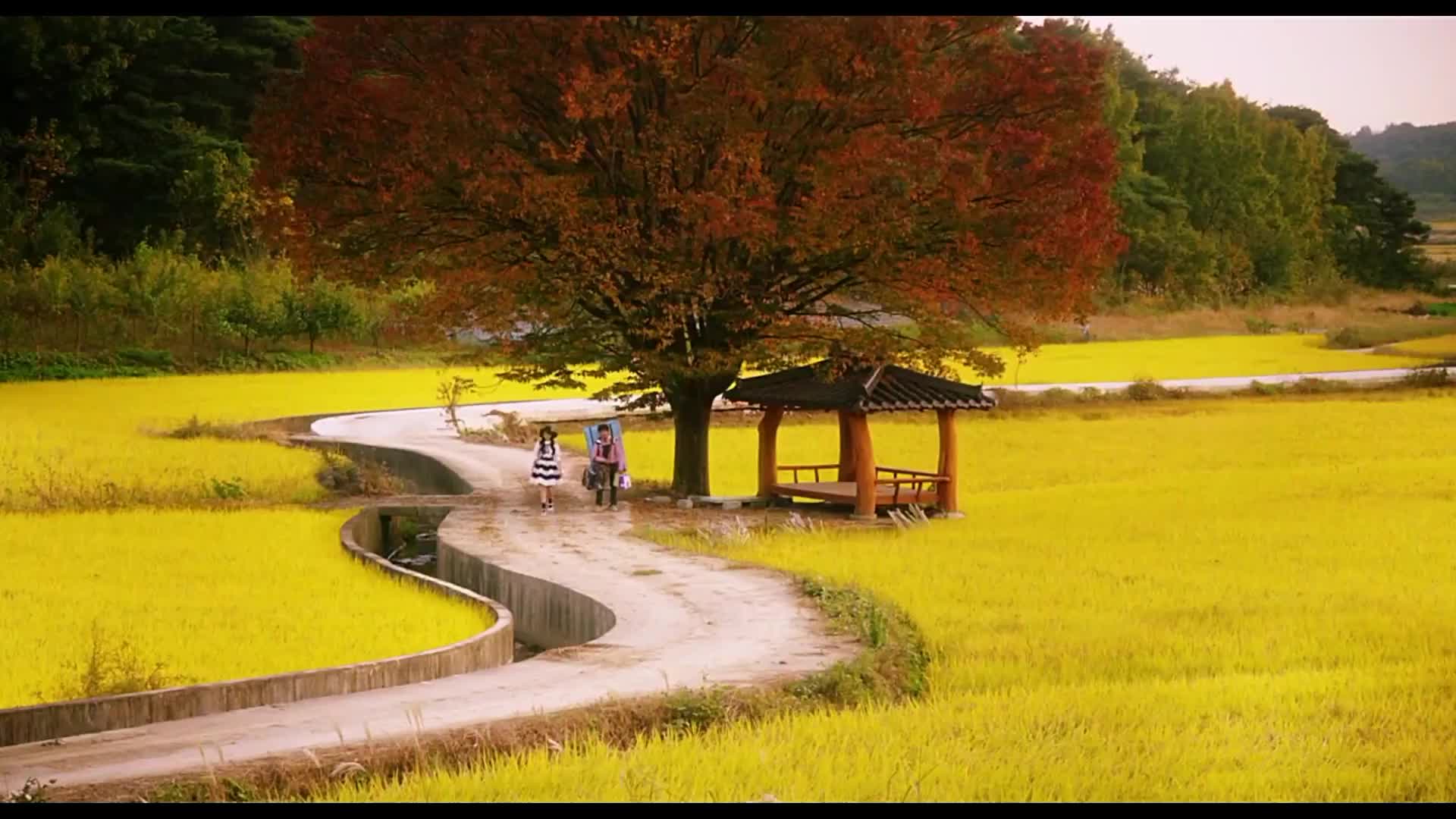 荒山野岭孤男寡女图片